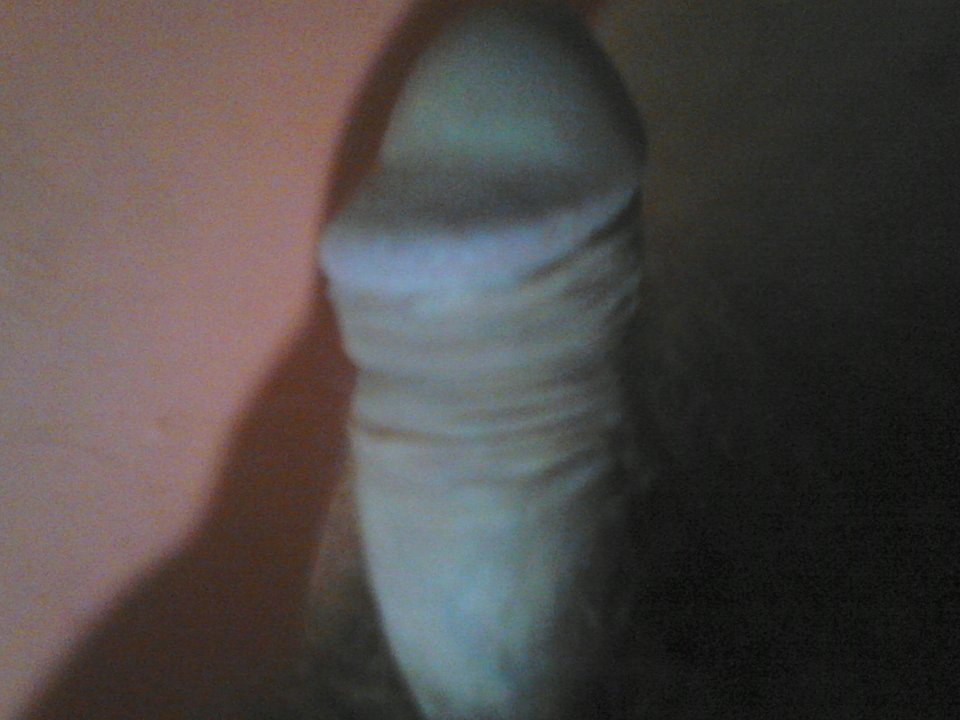 DSC_0059.jpg - Rober28811