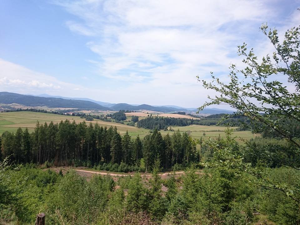 13715999_1189034964503462_6391401952898262826_n.jpg - daw1033