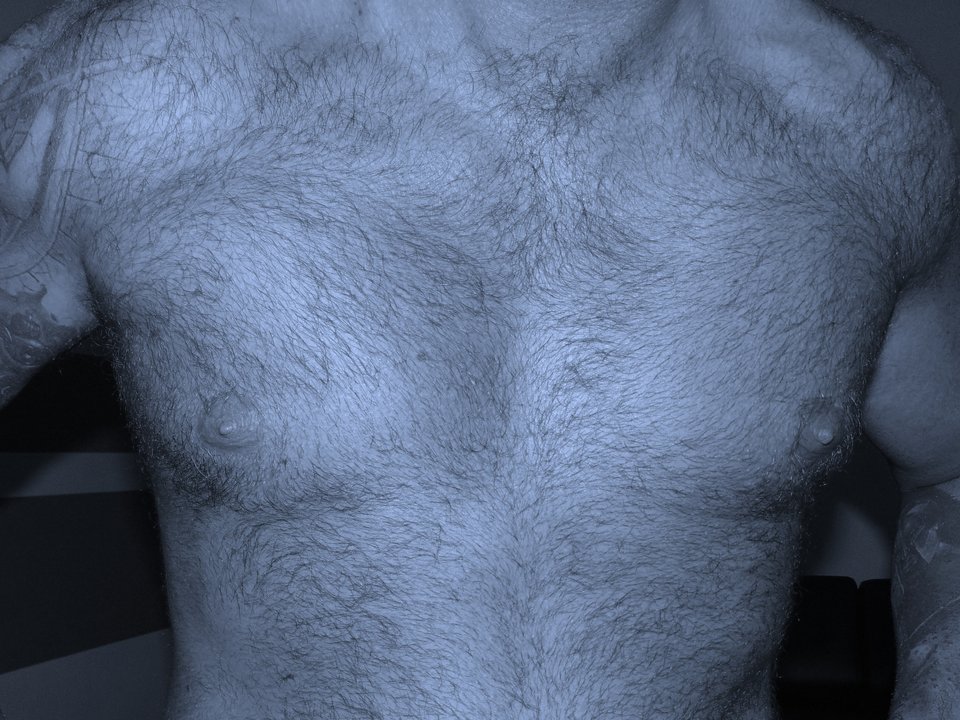 zggh 028.JPG - 90210