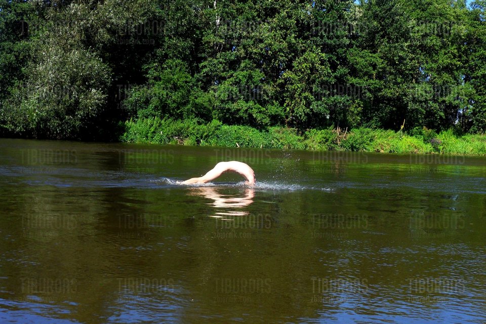 20150805.JPG - tiburons