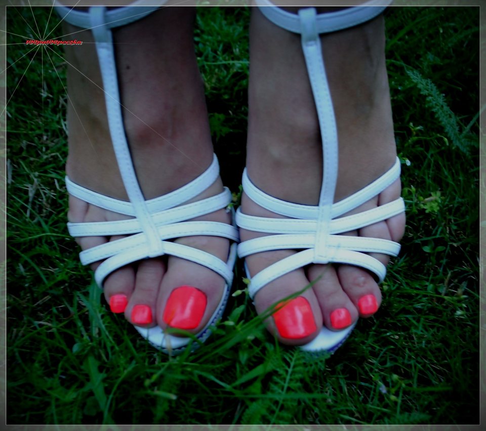 Białe Koturny #95 - 100pa100peczka