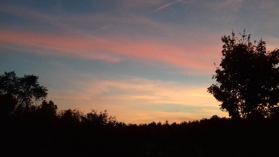 20170525_211931.jpg - aga_jaga