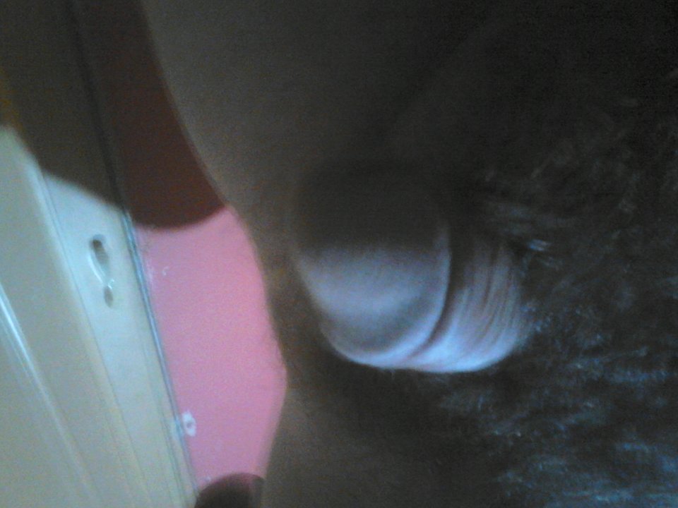 DSC_0010.jpg - Rober28811