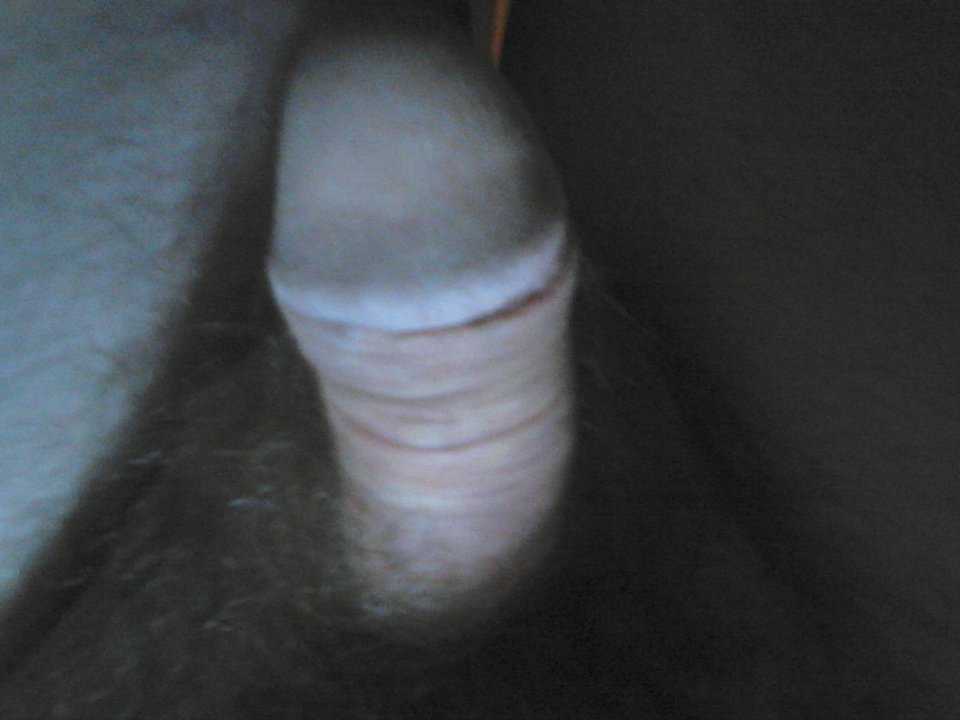 DSC_0011.jpg - Rober28811