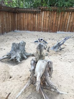 a gdzie mój orzeszek :D