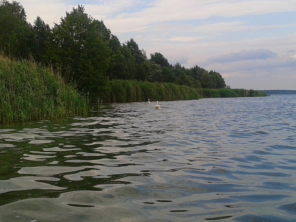 Zdjęcie-0023.jpg - lookin_