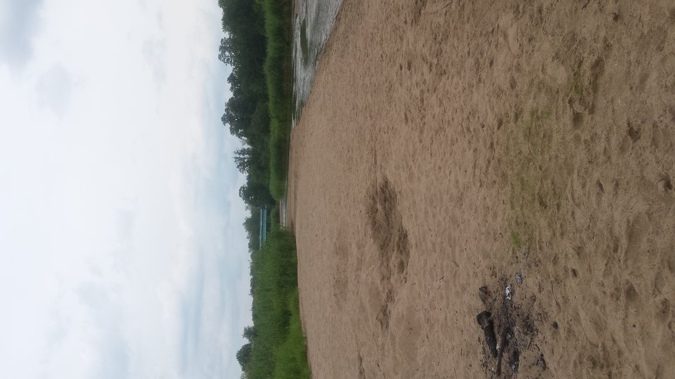 1499513650170.jpg - 6666699999