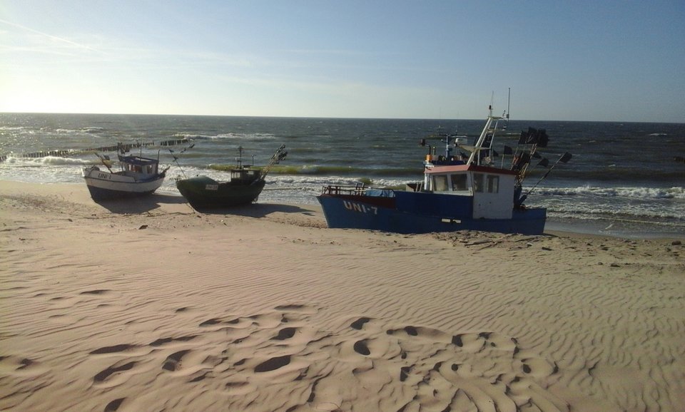 010.jpg - OBRZEZANY1