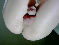 Picture 297.jpg
