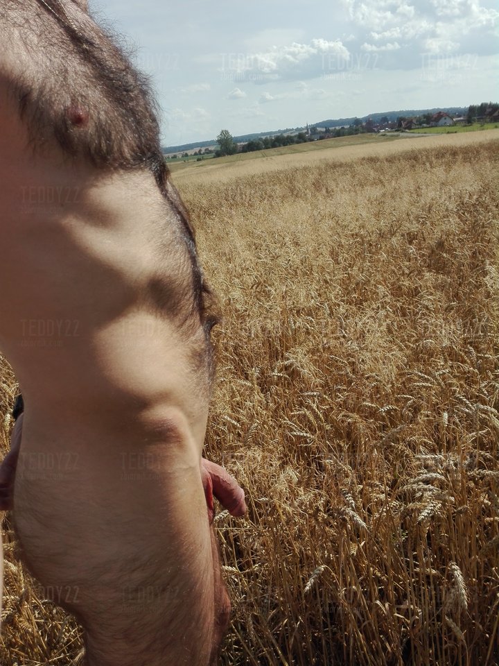 IMG_20170720_162227.jpg - Teddy22