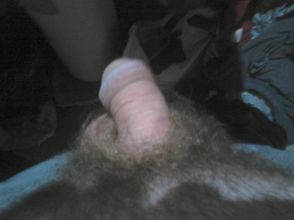 DSC_0007.jpg - Rober28811