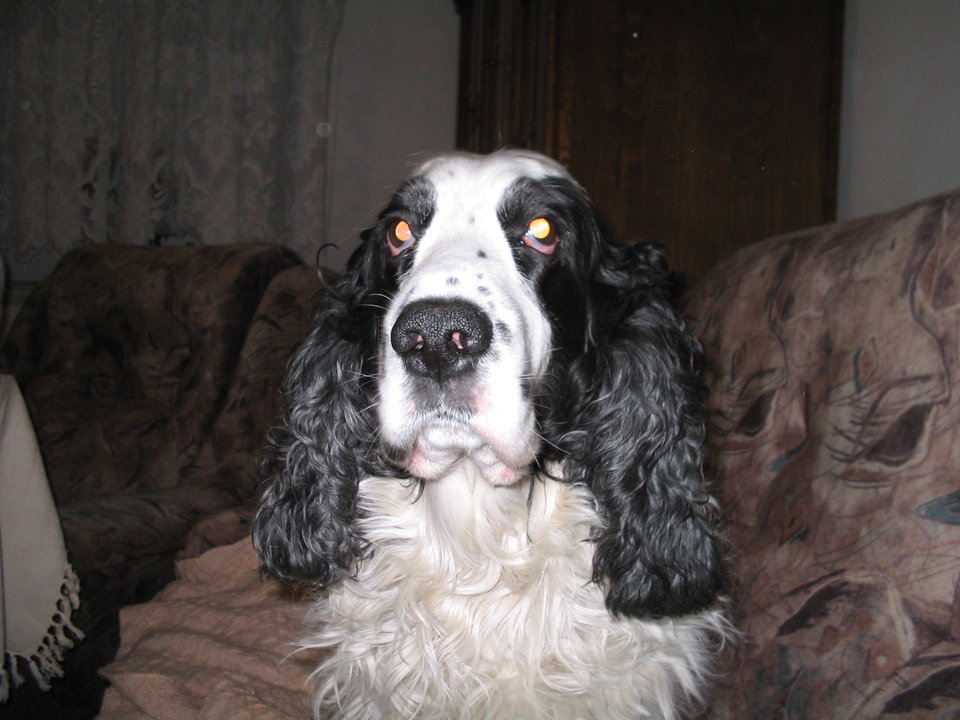 100_0089.JPG - Arekw003