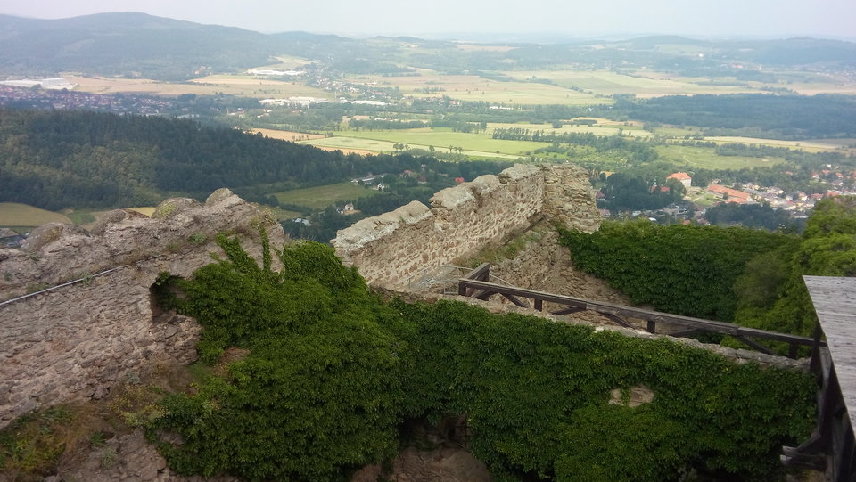 20160726_115413.jpg - jarecki241