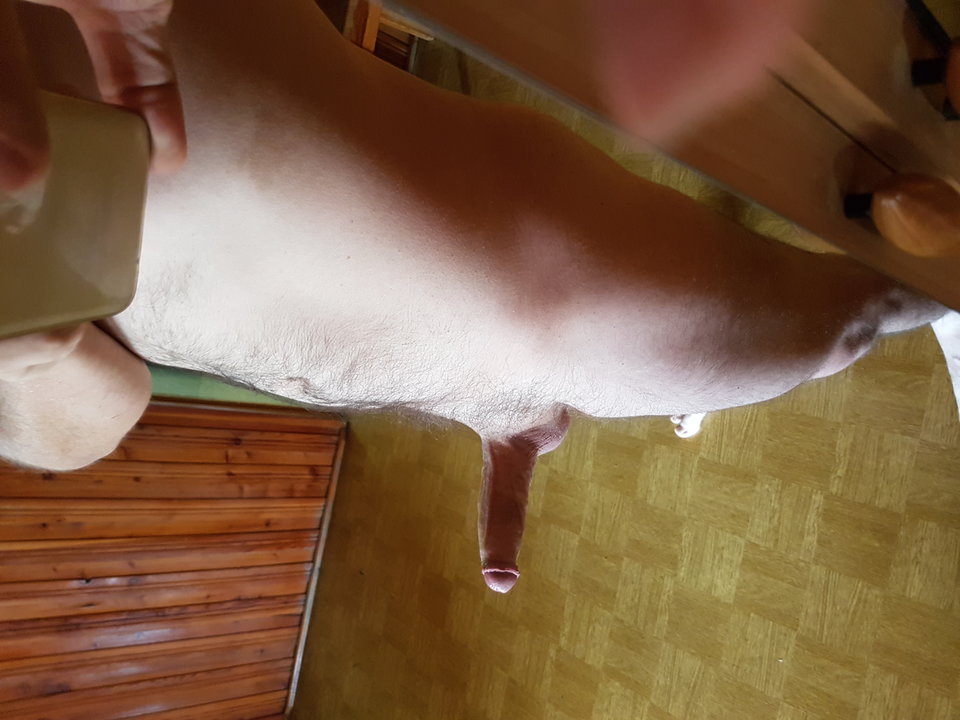 20170724_111455.jpg - albinek