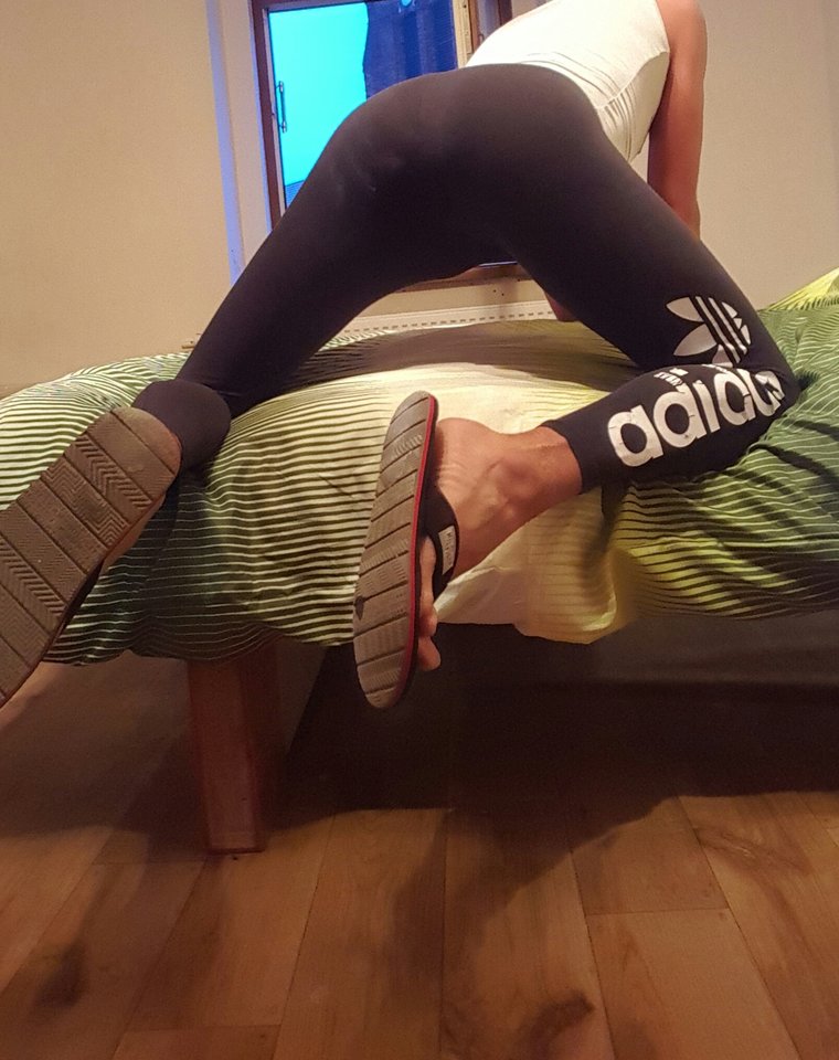 20170725_090200.jpg - trannyWiki