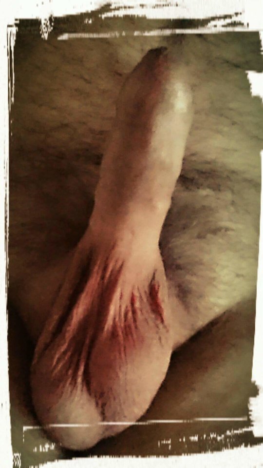 received_1283328338397162.jpeg - Bazakbal1974