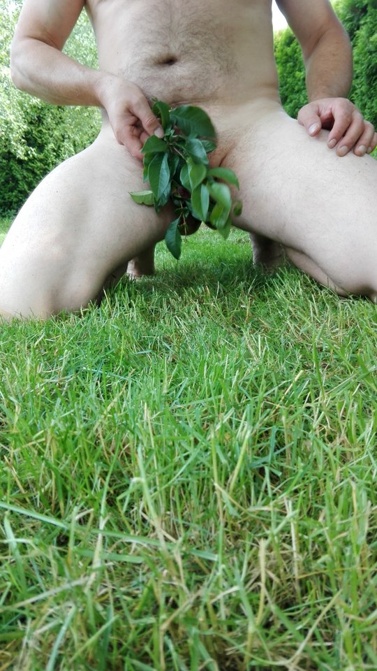 IMG_20170624_104711.jpg - rzWojtek