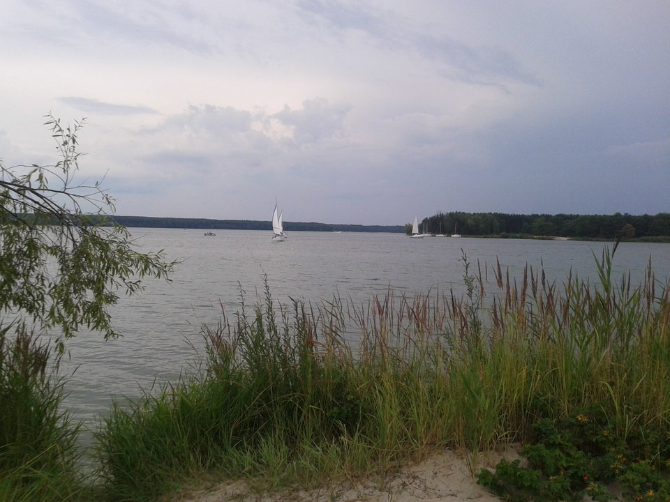 Zdjęcie-0028.jpg - lookin_