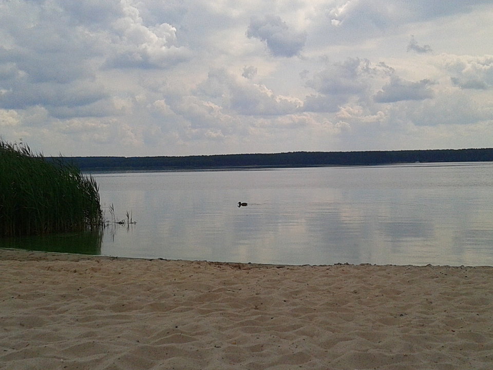 Zdjęcie-0021.jpg - lookin_