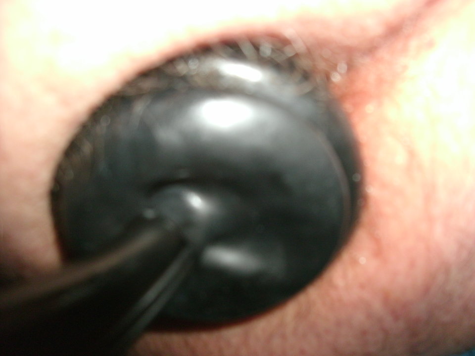 KODC0040.JPG - Asia801