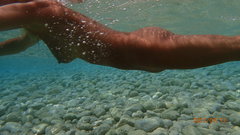 Podwodne widoki.....