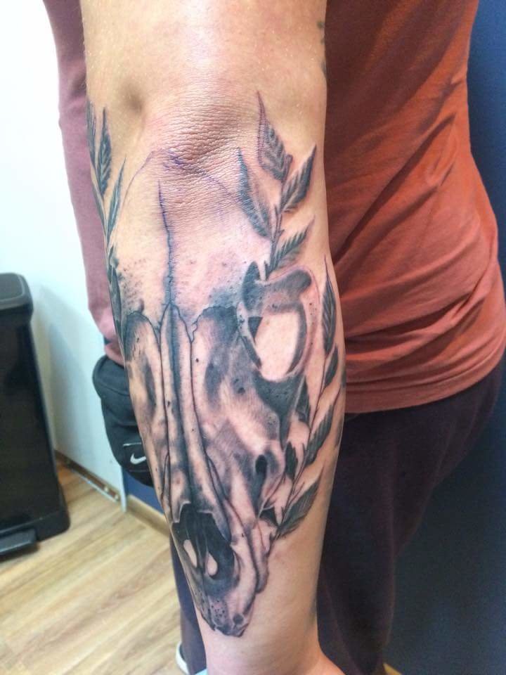 received_937966776269816.jpeg - mikef