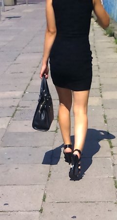 DSC_3069v.jpg