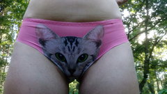 Oddam kota w dobre ręce !!!