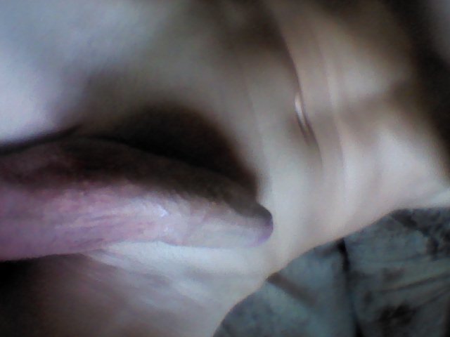 DSC_0369.JPG - tomtomq