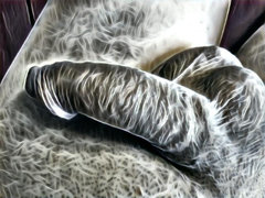 img1501821694844.jpg
