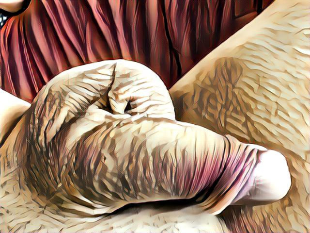 img1501821839500.jpg - dino8