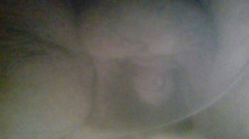 20170613_124451.jpg - Kamilia