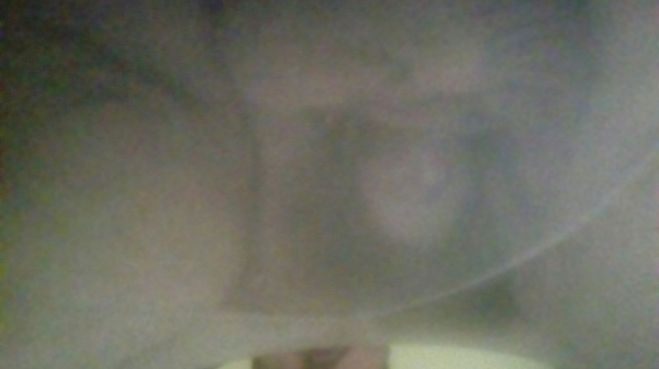 20170613_124456.jpg - Kamilia