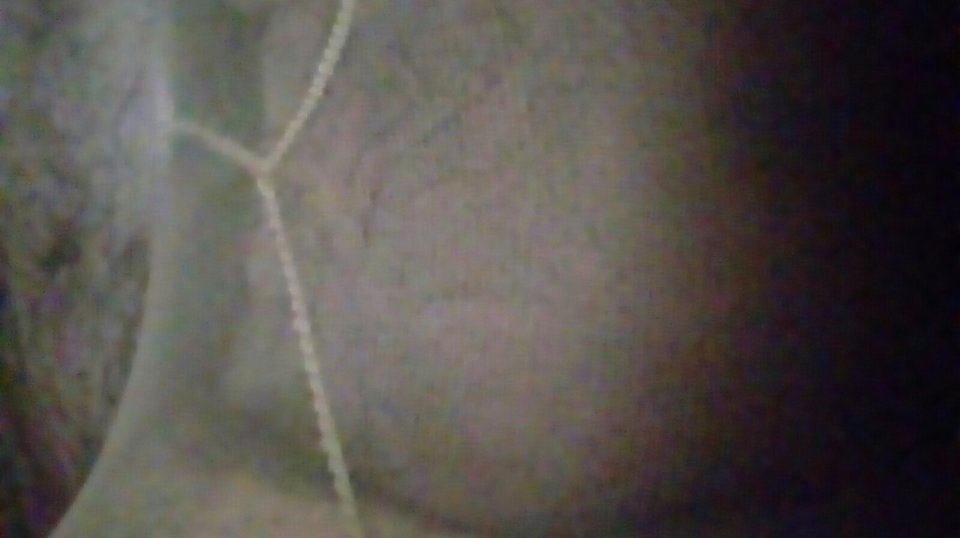 20170616_062029.jpg - Kamilia