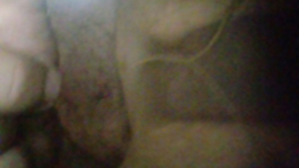 20170616_062019.jpg - Kamilia