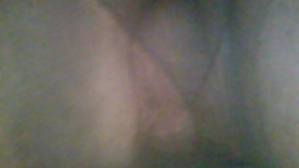 20170731_133830.jpg - Kamilia