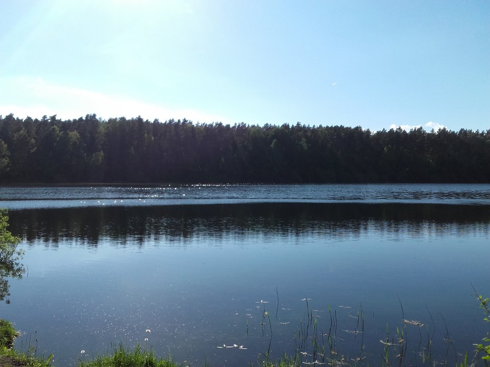 20170526_170215.jpg - lukase00