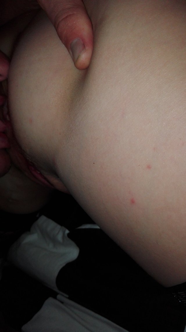 Suka_Pan_i_SEX