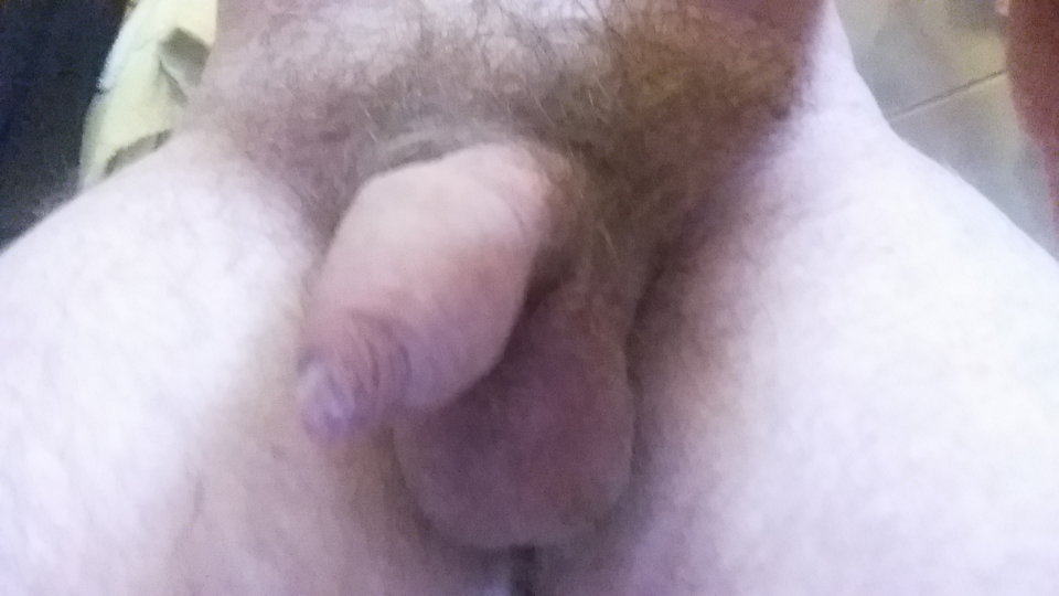 15019384010211858115561.jpg - Niesmialy31