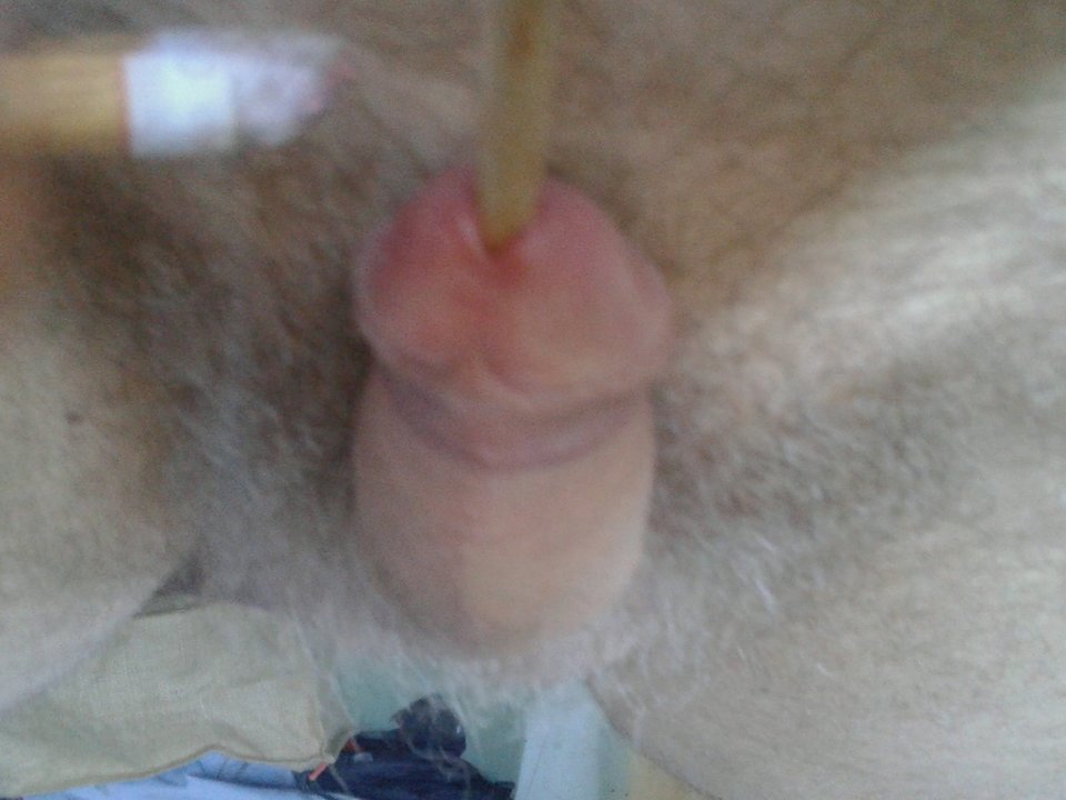 20170805_143426.jpg - janekoko4