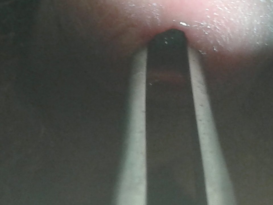 20170806_031941.jpg - janekoko4