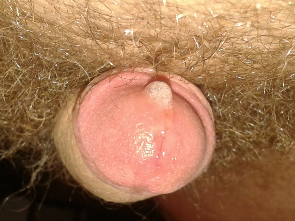 20170806_032034.jpg - janekoko4