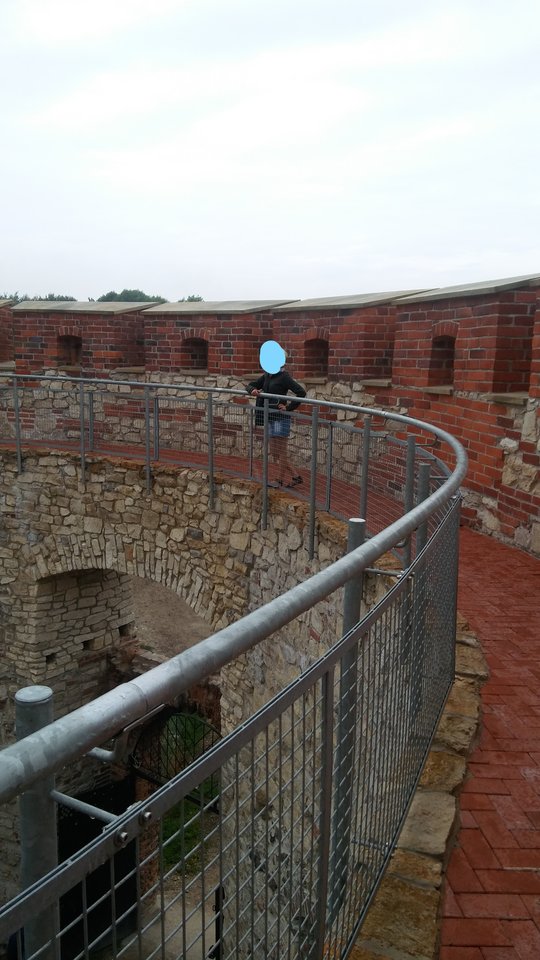 20170806_165144_LI.jpg - ewawojtek8074