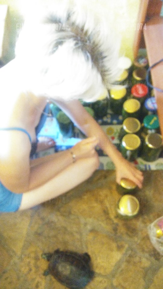 20170811_081429.jpg - ewawojtek8074