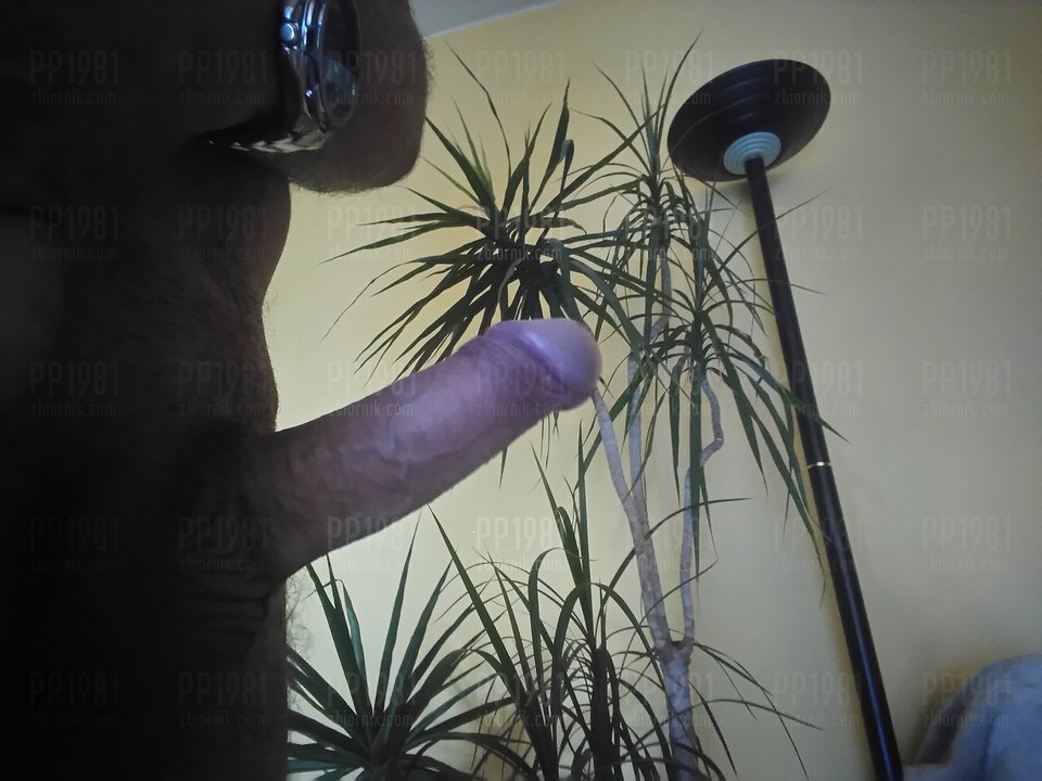 DSC_0002.JPG - pp1981