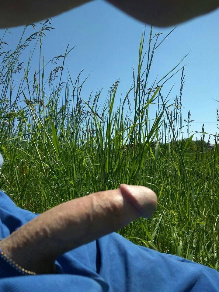 18664708_1750817008543186_6579515354800156372_n.jpg - iloveplenerwroc