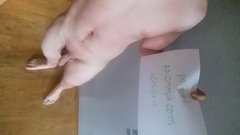 20170813_125411.jpg