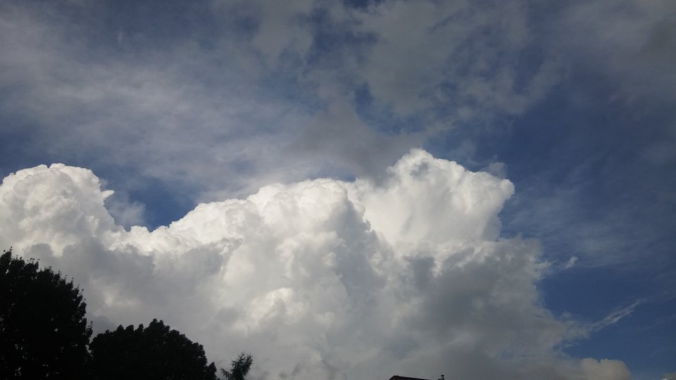 20170728_170210.jpg - grist