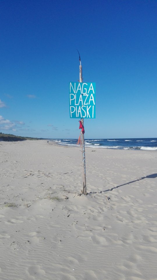 IMG_20170814_083144.jpg - parabezz