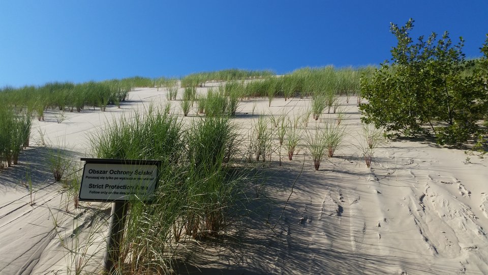 20170814_165011.jpg - darkxx